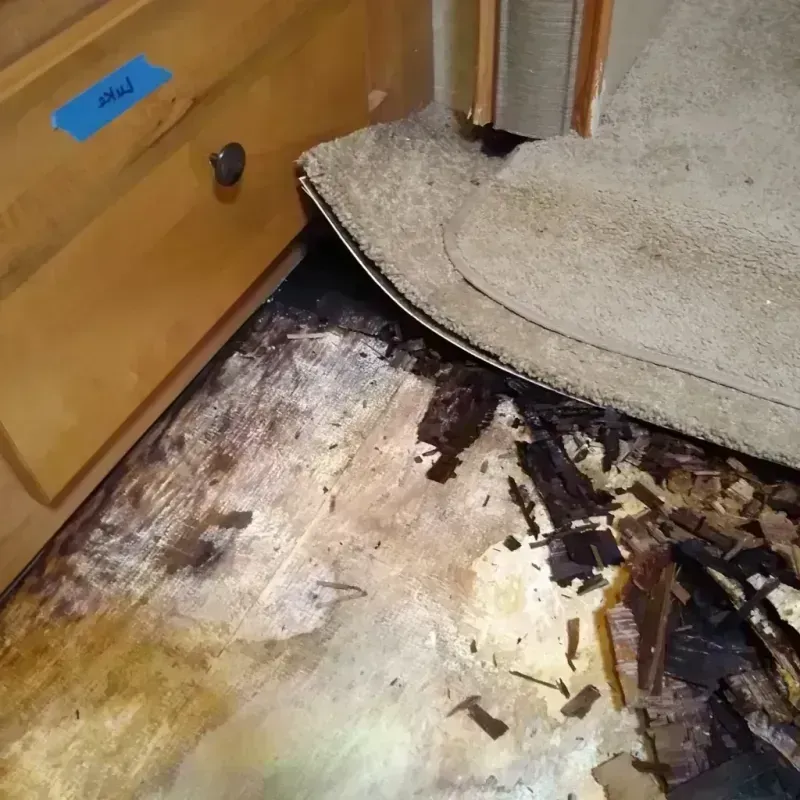 Wood Floor Water Damage in Woodsboro, TX